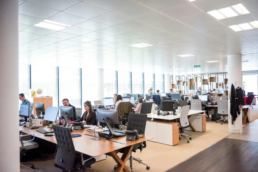 Nexorust software developers working together in a bright open-plan office